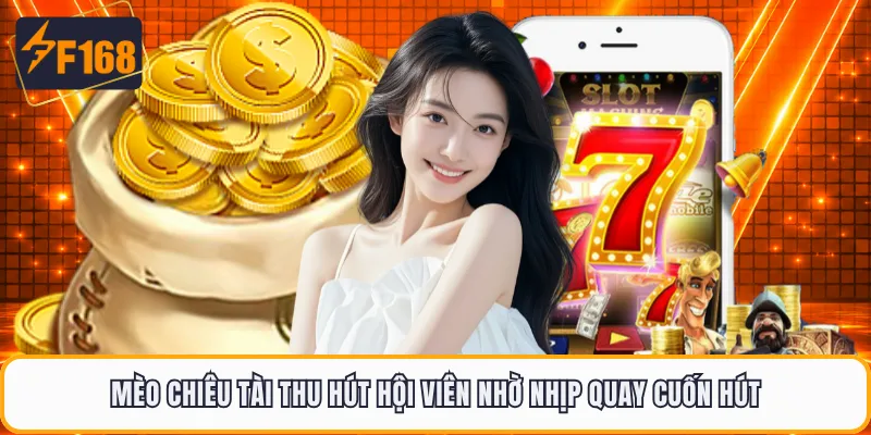 Mèo Chiêu Tài Thu Hút Hội Viên Nhờ Nhịp Quay Cuốn Hút